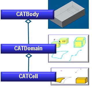 bodydomaincell