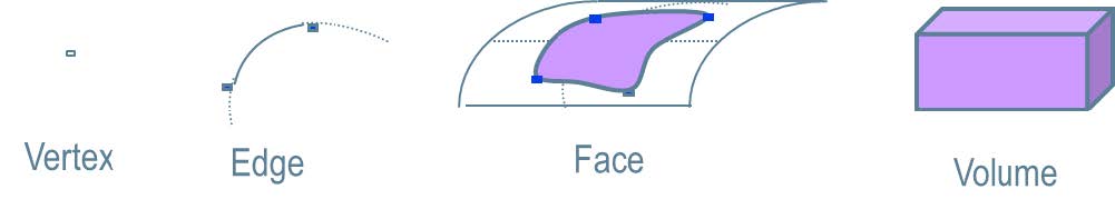 topocell1