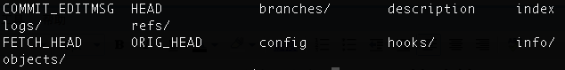 git folder